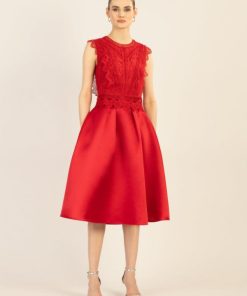 Younglomax.shop2a09a04c31 2