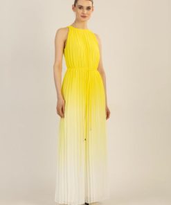 Younglomax.shopbd68cc173b 1